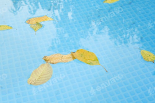 Preview: Cleaning a swimming pool with a mesh skimmer. The long net cleans colored leaves