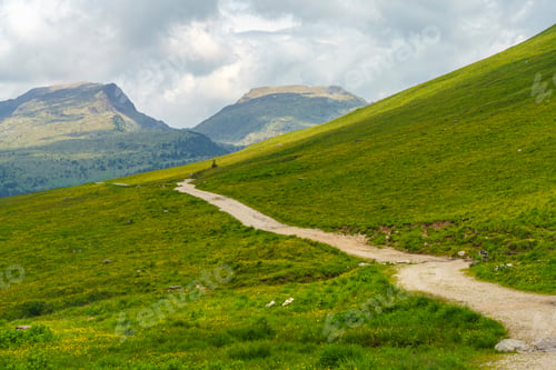 Preview: Landscape of Dolomites in Venegia valley at summer