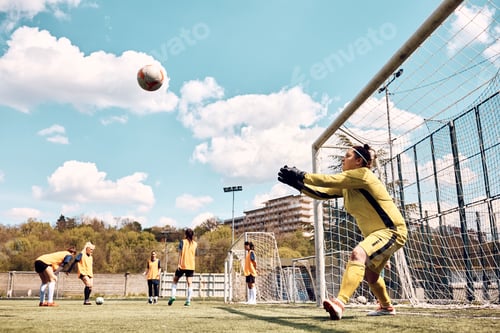 Preview: Soccer goalie catching the ball while having sports training on playing field.