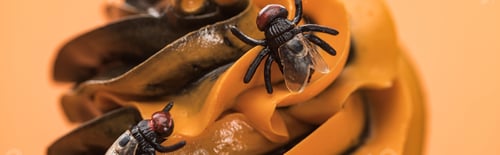 Preview: close up view of spooky Halloween cupcake with flies on cream isolated on orange, panoramic shot