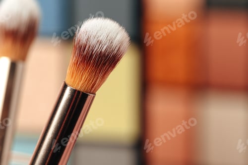 Preview: Make-up palette and brushes. Professional eyeshadow palette.