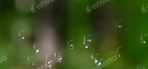 Preview: small bugs flying in green forest