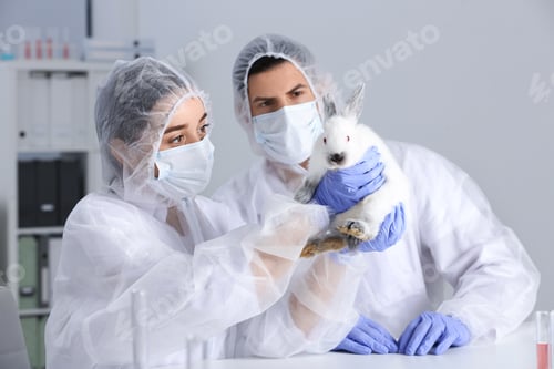 Preview: Scientists working with rabbit in chemical laboratory. Animal testing