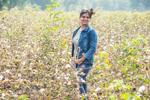 Preview: Young girl cotton in a cotton field.
