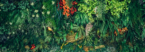 Preview: Close up group of background tropical green leaves texture and abstract background.