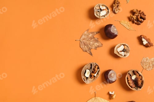 Preview: Concept of Autumn, Autumn composition accessories, space for text
