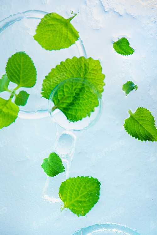 Preview: Fresh Green Leaves in Clear, Cool Water