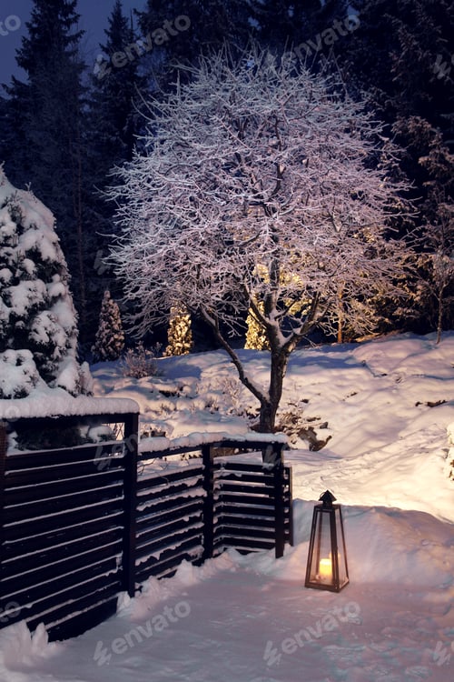 Preview: Winter evening in snowy garden