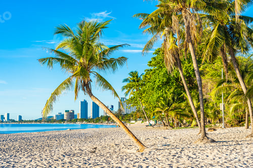 Preview: Beautiful tropical outdoor nature landscape of beach sea and oce