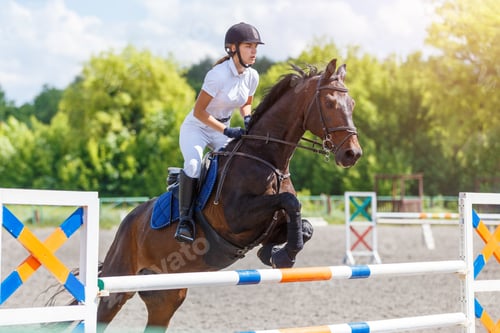 Preview: Equestrian show jumping competition with rider and horse in sunny arena