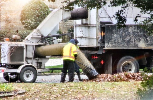Preview: Neighborhood Curbside Loose Leaf Collection, by The Division of Public Works during Fall & Winter