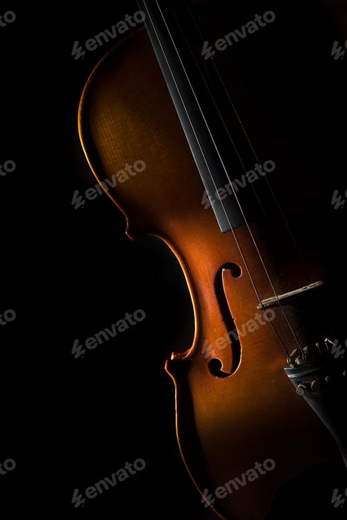 Preview: Violin on a black background in oblique light on one side