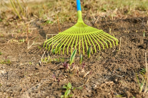 Preview: Spring cleaning of the garden with a rake from fallen leaves, dry grass