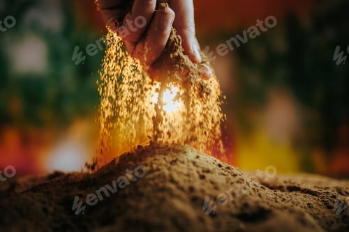 Preview: Vibrant green sprouts emerge from the dark soil as a farmer's hands work