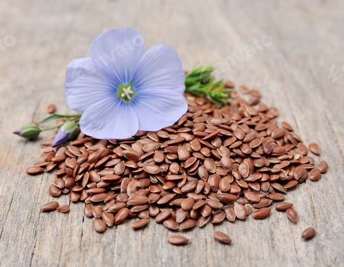 Preview: Flax seed with flower on white backgrounds
