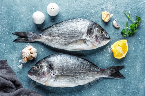 Preview: Fresh dorado fish with ingredients