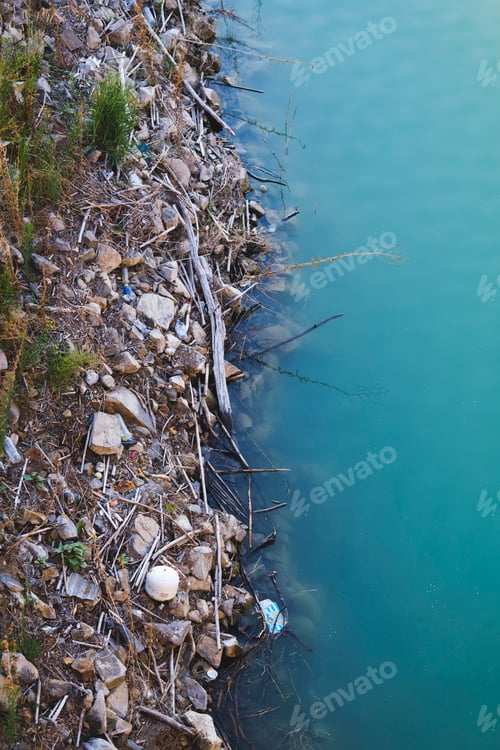 Preview: Edge of a lake with the image split with water and land.
