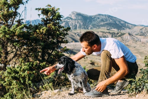 Preview: Happy male owner of joyful russian cocker spaniel dog. Concept spending time with a dog.
