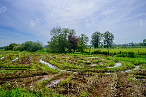 Preview: A green farmland with crisscrossing tractor tire tracks filled with rainwater, with green trees