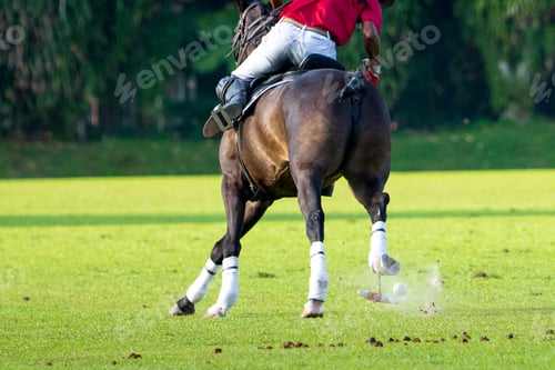 Preview: Polo players riding horses on the field,The polo pony running in match.