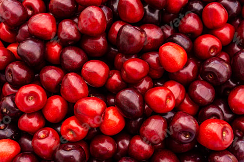 Preview: cherry Fruit Background, cherry Texture Pattern