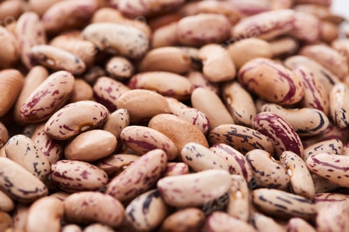 Preview: close up view of uncooked pinto beans