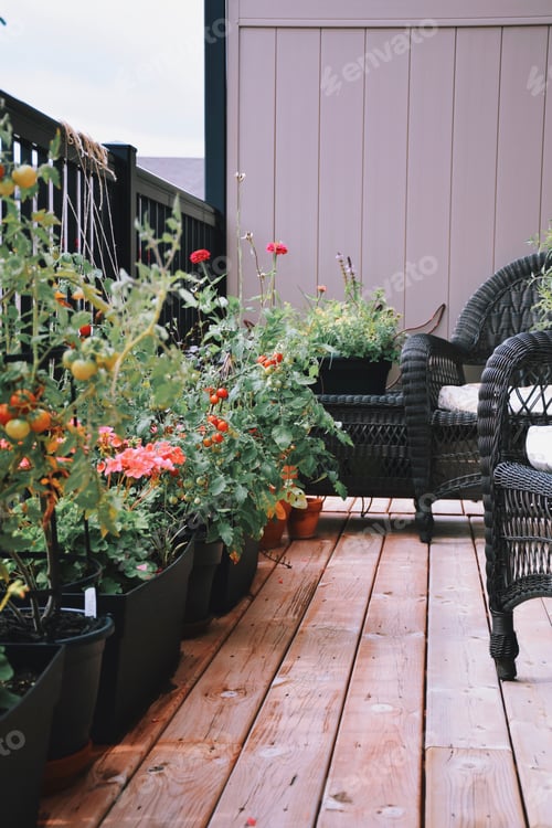 Preview: Balcony with outdoor furniture, tomato plants and flowers in containers