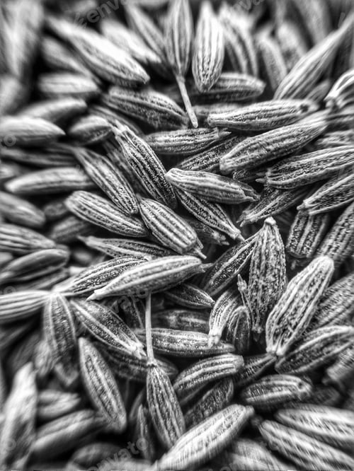 Preview: CUMIN SEEDS