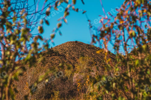 Preview: Scenic view of a hill in Morocco seen through the leafy branches of trees