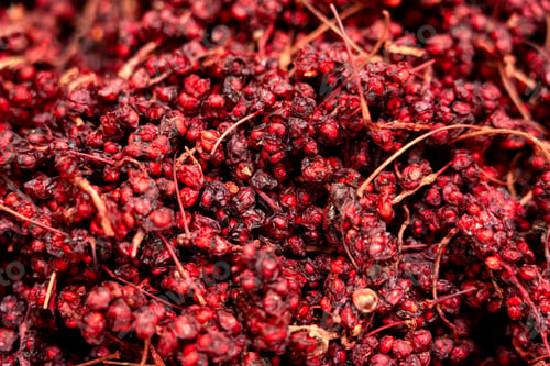 Preview: Macro Shot of Dried Red Schisandra Berries