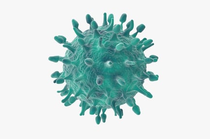 Preview: H1N1 Influenza Virus: Hemagglutinin and Neuraminidase