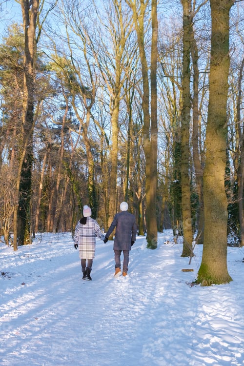 Preview: A Couple of men and women walking in the snow during a cold winter day in the Netherlands
