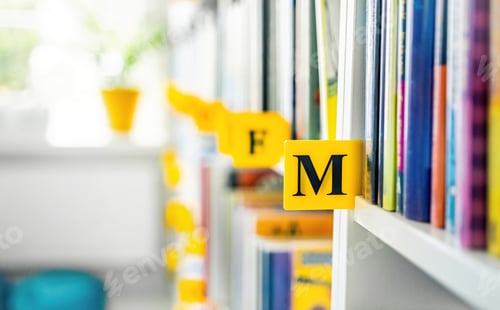 Preview: Books on shelves in the library. Authors of books placed by alphabet.