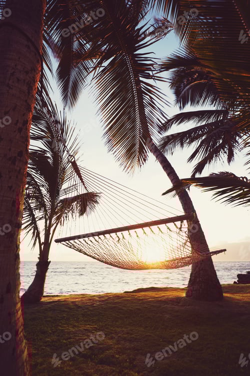 Preview: Tripical Hammock at Sunset