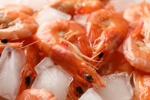 Preview: Delicious shrimps and ice texture background, close up