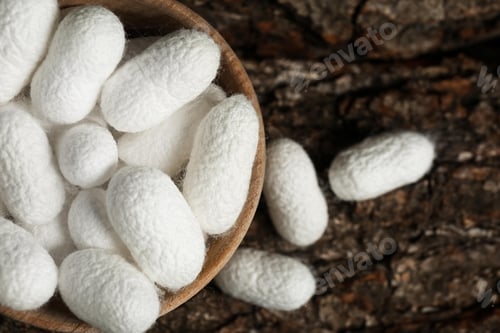 Preview: white silk cocoon, silky, fiber
