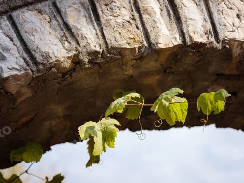 Preview: town of Ormana Ibradi Antalya Turkey