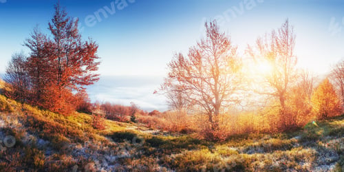 Preview: Fantastic sunlight in the morning. fog in the mountain