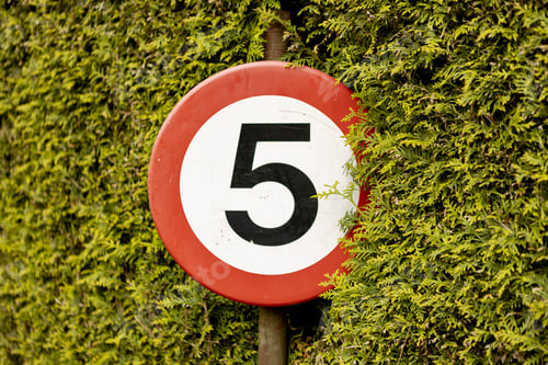 Preview: Sign on vacation park to limit speed to five kilomet