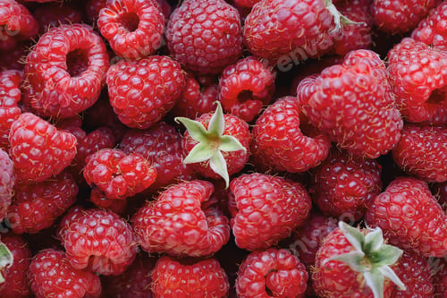 Preview: Red raspberry close up