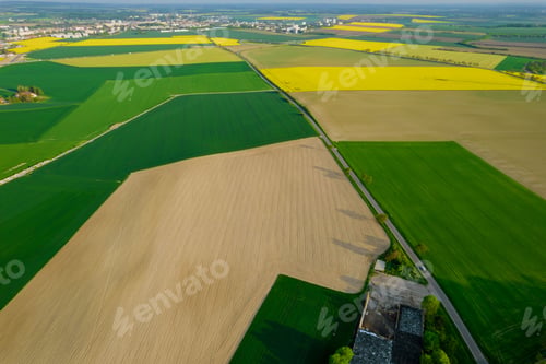 Preview: View from above on the sown yellow-green fields. Agriculture in the countryside.