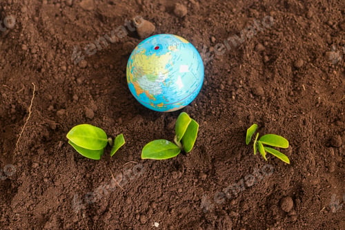 Preview: Top View Of Earth, New Sprouts, And miniature Globe Symbolizing Planetary Growth