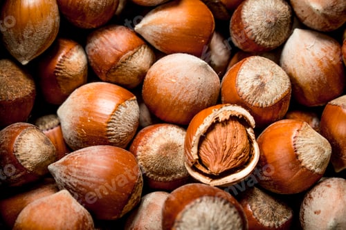 Preview: Hazelnuts in the shell.