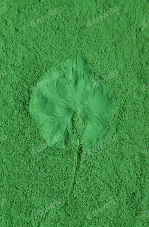 Preview: Leaves imprint on green powder. Natural cosmetic. Selective focus.