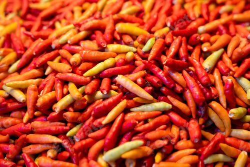Preview: Close-up red and green chillies