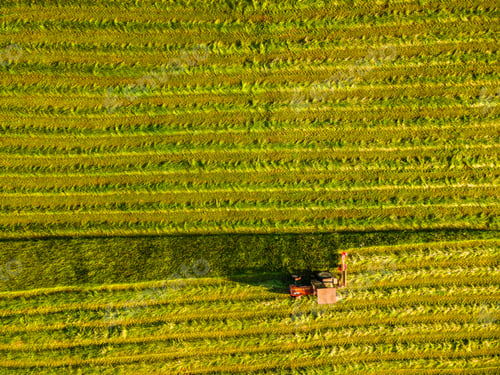 Preview: Haymaking on Meadow. Aerial Drone Top Down View