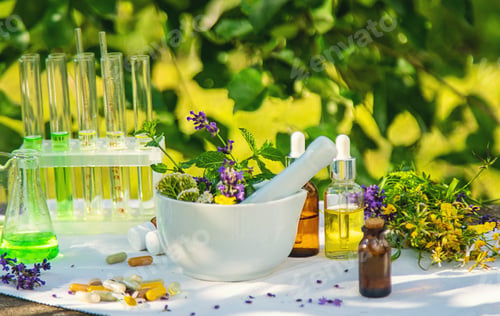 Preview: Medicinal herbs homeopathy and alternative medicine. Selective focus.