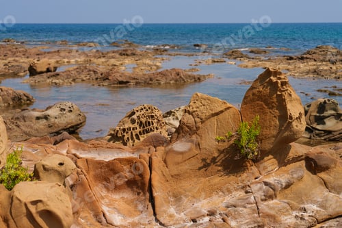 Preview: Eroded Coastal Rocks with Intricate Natural Patterns