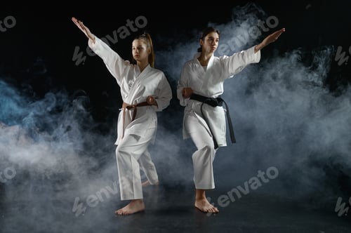 Preview: Female karatekas in kimono, combat stance