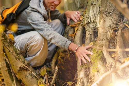 Preview: Finding the root cause.